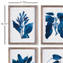 NAPA Home & Garden, INDIGO BOTANICALS, SET OF 4,NH401