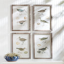 NAPA Home & Garden, COASTAL BIRDS STUDY, SET OF 4,NH402