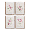 NAPA Home & Garden, PINK CLEMATIS PRINTS, SET OF 4,NH406