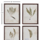 NAPA Home & Garden, PETITE FROND PRINTS, SET OF 4,NH418