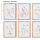 NAPA Home & Garden, BOTANICALS IN BLUSH PRINTS, SET OF 6,NNH503