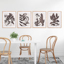 NAPA Home & Garden, PRESSED FOLIAGE PRINTS, SET OF 4,NNH507