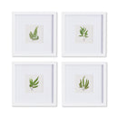 NAPA Home & Garden, FOREST GREENERY PETITE PRINTS, SET OF 4,NNH516