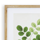 NAPA Home & Garden, TREE LEAF STUDY, SET OF 6,NNH549
