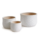 NAPA Home & Garden Emmy Pots Collection