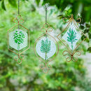Pollinator Garden Outdoor Hanging Decor, Metal & Glass Herbs, 14.5", Asst of 3