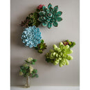 What She Shed Indoor Wall Décor, Ceramic Wall, San Pedro Cacti, Asst of 3
