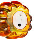 Harvest Blossom LED Pumpkin Table Décor in 12 Piece CDU
