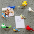 Cottage Garden Trinket Magnet Song Bird Program with Magnetic Tree Display