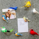 Cottage Garden Trinket Magnet Song Bird Program with Magnetic Tree Display