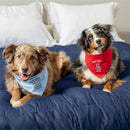 Pet Supplies & Accessories, Most Likely Bandana, Asst of 4