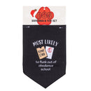 Pet Supplies & Accessories, Most Likely Bandana, Asst of 4