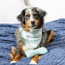 Pet Central Pet Supplies & Accessories, Best Friend Bandana Gift Set, Blue