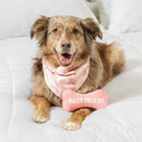 Pet Central Pet Supplies & Accessories, Best Friend Bandana Gift Set, Pink