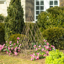 Willow Pyramid Trellis