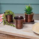 Petal and Plow Planter, Hammered Metal Planter on Oval Tray, Set of 3