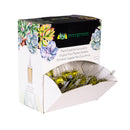 Plant Food For Succulent, 42 Tubes Per Color Box