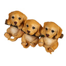 ANIMALS ON BRANCH