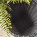 NAPA Home & Garden, ALVERO BASKETS, SET OF 2,RT402
