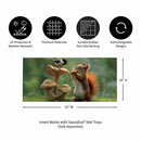 Foraging Squirrel Sassafras Switch Mat