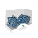 Blue Coastal Salt and Pepper Shaker Ceramic Conch Shell, Set of 2