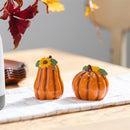 Harvest Blossom Salt & Pepper Shaker Ceramic Pumpkin Shaped, Set of 2