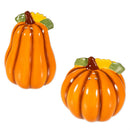 Harvest Blossom Salt & Pepper Shaker Ceramic Pumpkin Shaped, Set of 2