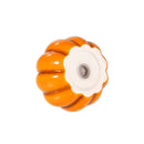 Harvest Blossom Salt & Pepper Shaker Ceramic Pumpkin Shaped, Set of 2