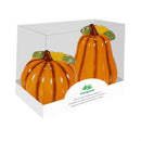 Harvest Blossom Salt & Pepper Shaker Ceramic Pumpkin Shaped, Set of 2