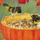 Pumpkin Bird Feeder Suede Flag Garden