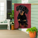 Pet Central Photo Dogs, Dachshund Suede House Flag