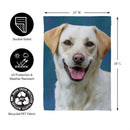 Camera Day Dogs, Labrador Retriever Suede Garden Flag