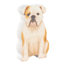 Hillside Pasture Pet Figurine, Asst of 6, CDU