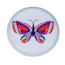 Trinket Dish, Metal Round Butterfly Print, Asst of 4