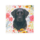 Hillside Pasture Pet Magnet, Canvas Magnet, Asst of 6, CDU