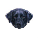Hillside Pasture Pet Metal Token, Asst of 6, Basket Display
