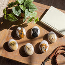 Hillside Pasture Pet Token, Dog Stones, Asst 6, Box Display