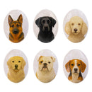 Hillside Pasture Pet Token, Dog Stones, Asst 6, Box Display