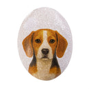 Hillside Pasture Pet Token, Dog Stones, Asst 6, Box Display