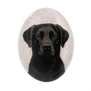 Hillside Pasture Pet Token, Dog Stones, Asst 6, Box Display