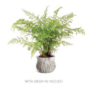 NAPA Home & Garden, MARLOWE CACHEPOT,TQ401