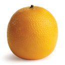 Napa Home Garden, NAVEL ORANGE 3",w1002