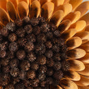 Harvest Blossom Wreath, Wood Curl Sunflower, 14.5"H