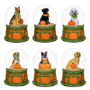 Harvest Blossom Water Globe Resin Dog, Asst of 6, 3.5"H, CDU