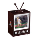 Arizona Diamondbacks Vintage TV Water Lantern