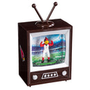 Arizona Cardinals Vintage TV Water Lantern