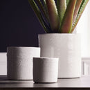 NAPA Home & Garden, STUDIO CACHEPOTS, SET OF 3,XN202