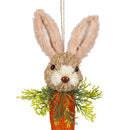Hop Into Spring Hanging Decor Natural Fiber Bunny Carrot, 10"H, Asst of 2