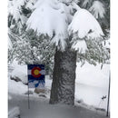 Colorado State Garden Applique Flag,168686
